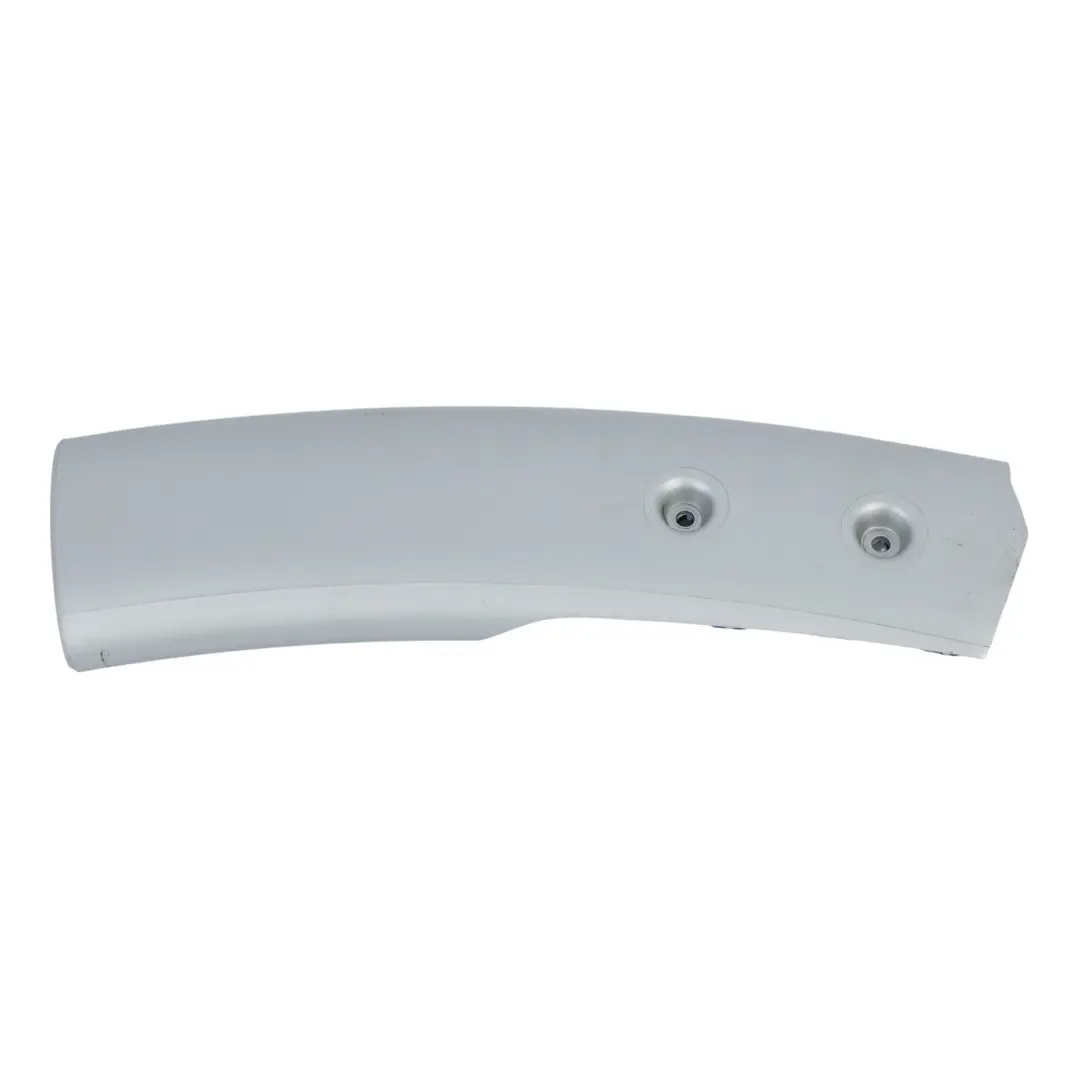 Mini Cooper One R50 R53 2 Cover Pipe Right Decor Silver O/S 7040570 - SKU 6973074-2 - Part number 6973074