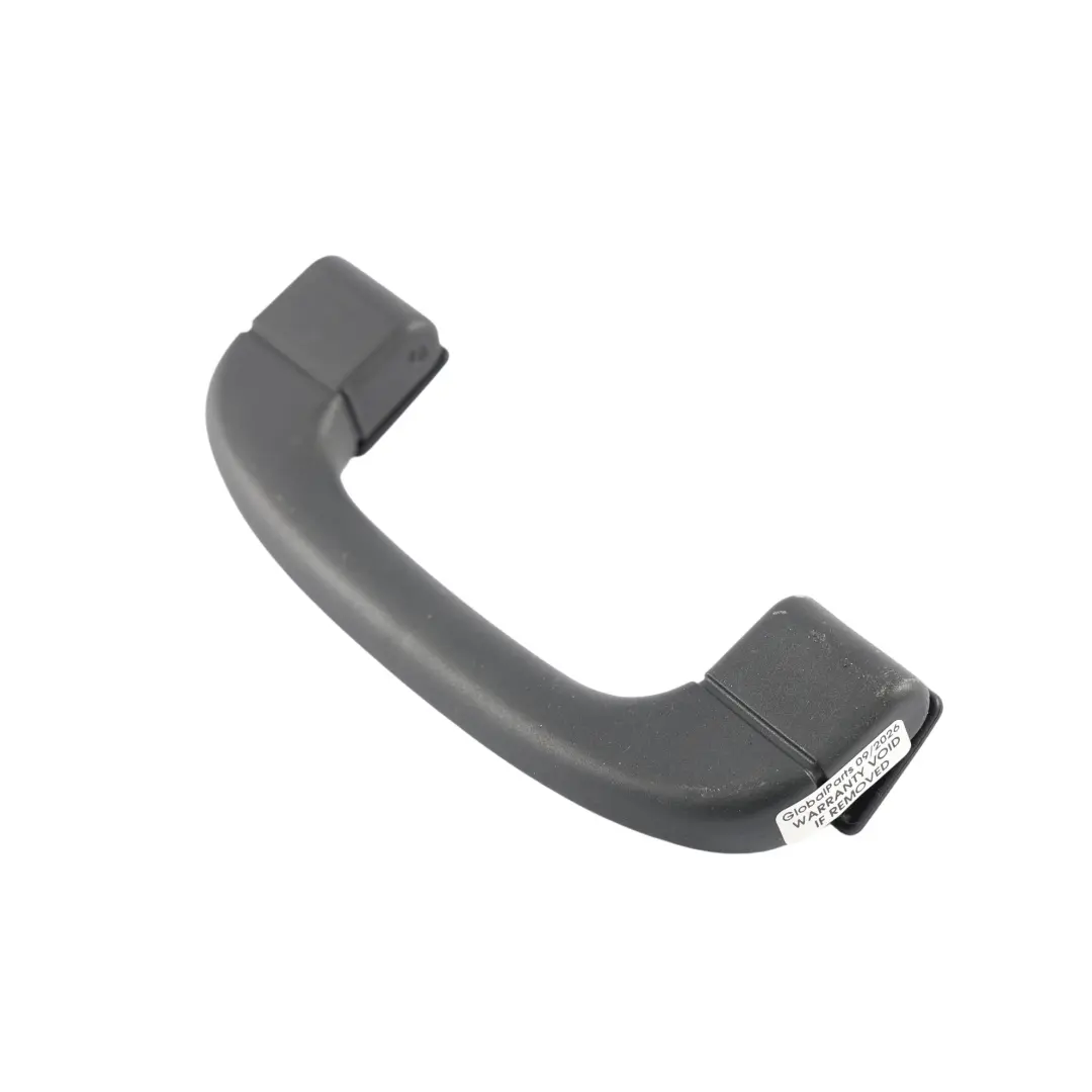 BMW X5 E70 Interior Roof Grab Handle Light Front Left Right N/O/S - SKU 6977691-1 - Part number 6977691
