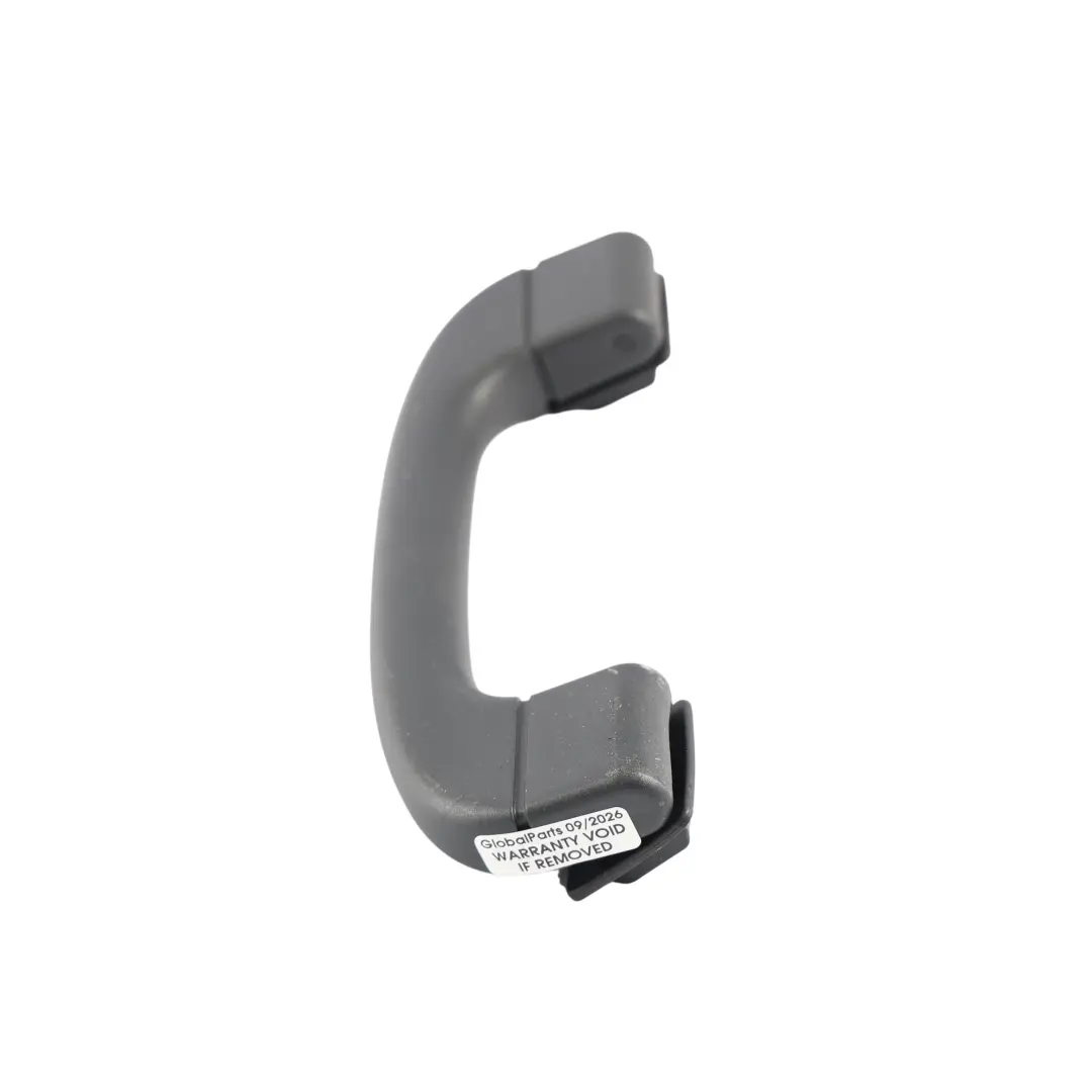 BMW X5 E70 Interior Roof Grab Handle Light Front Left Right N/O/S - SKU 6977691-1 - Part number 6977691