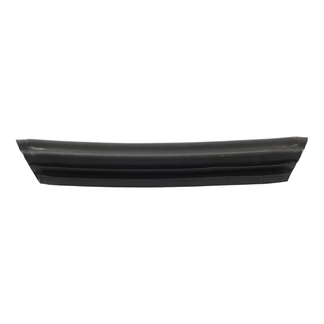 BMW Z4 E85 Roadster Guía Moldura Ventana Puerta Izquierda - SKU 7043895-1 - Número de pieza 7043895