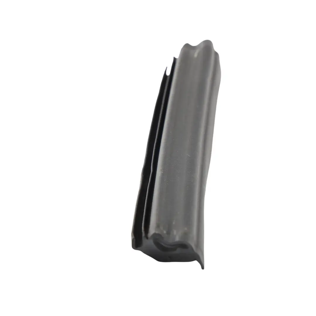 BMW Z4 E85 Roadster Door Window Guide Strip Trim Left N/S - SKU 7043895-1 - Part number 7043895