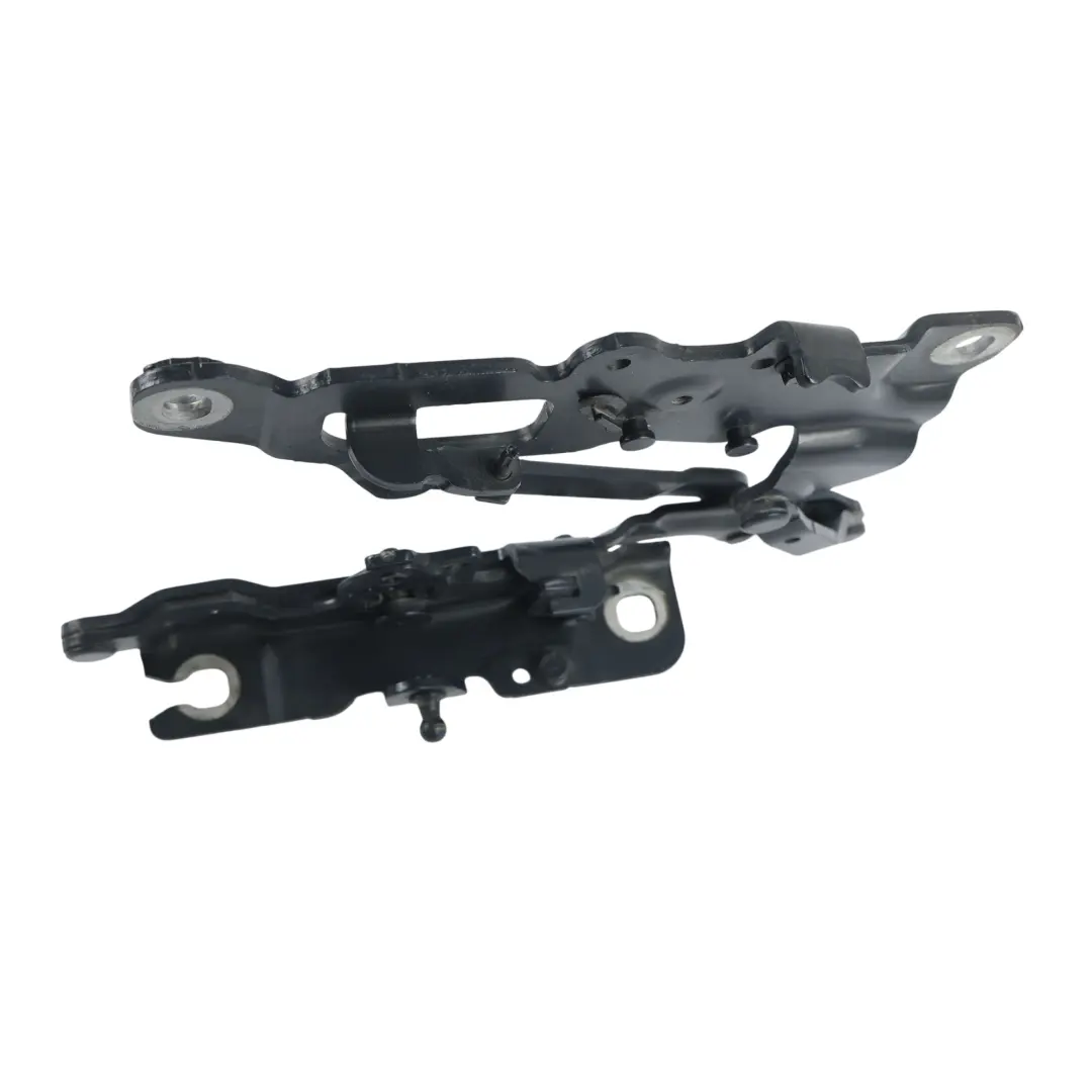 Cerniera Cofano Motore Sinistra Blu Tanzanite X10 per BMW F10 F11 con numero di parte 7249887 BMW F10 F11 Cerniera Cofano Motore Sinistra Blu Tanzanite X10 - SKU 7249887-TAN - Numero di parte 7249887