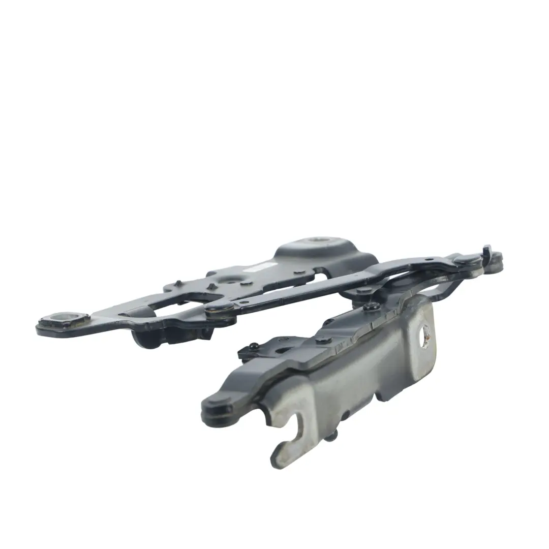 Cerniera Cofano Motore Destra Blu Tanzanite Metallizzato X10 per BMW F10 F11 con numero di parte 7249888 BMW F10 F11 Cerniera Cofano Motore Destra Blu Tanzanite Metallizzato X10 - SKU 7249888-TAN - Numero di parte 7249888