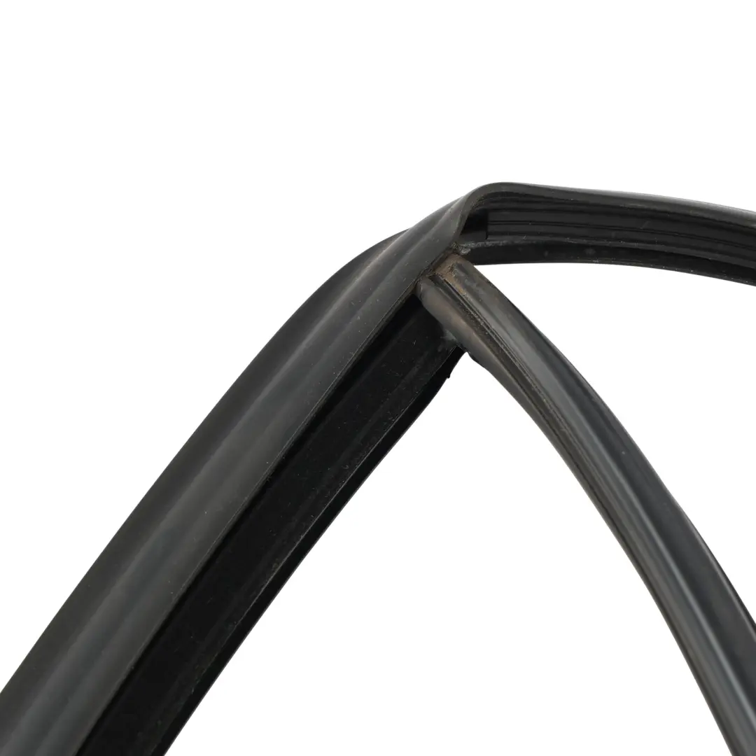 BMW F20 Guarnizione Gomma Guida Vetro Porta Posteriore Sinistra - SKU 7376387 - Numero di parte 7376387
