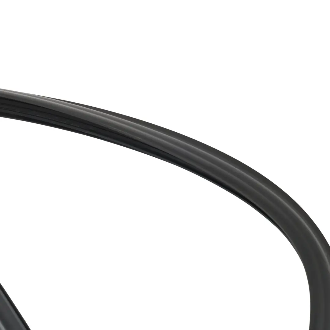 BMW F20 Rear Door Window Guide Sealing Rubber Rubber Gasket Left N/S - SKU 7376387 - Part number 7376387