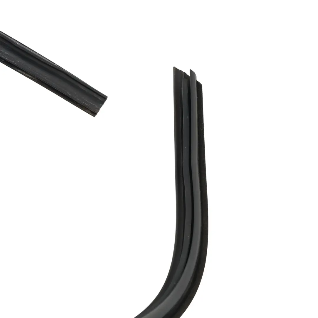 BMW F20 Rear Door Window Guide Sealing Rubber Rubber Gasket Left N/S - SKU 7376387 - Part number 7376387