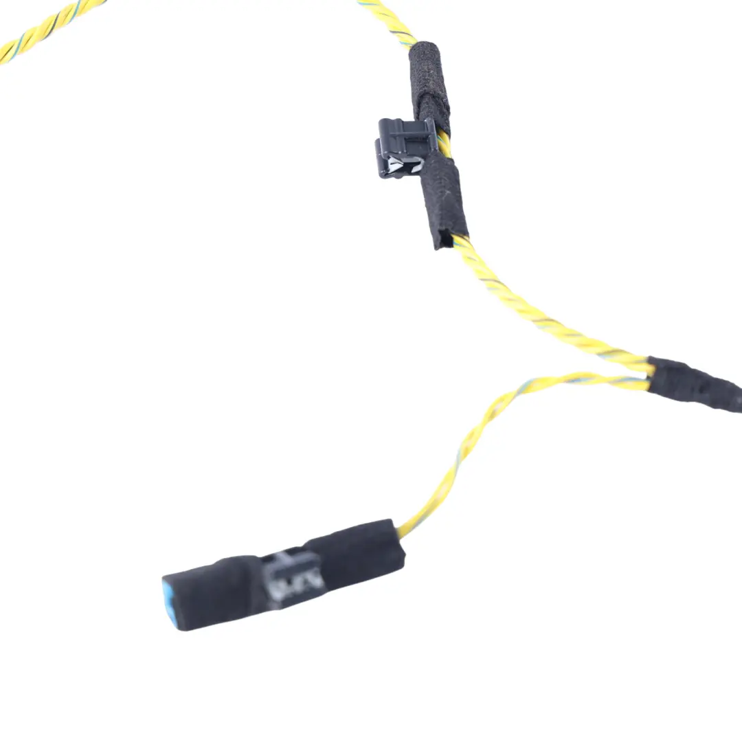 Front Door Audio System Wire Harness Left Right N/O/S to BMW X5 E70 LCI with Part number 7842202 BMW X5 E70 LCI Front Door Audio System Wire Harness Left Right N/O/S - SKU 7842202 - Part number 7842202