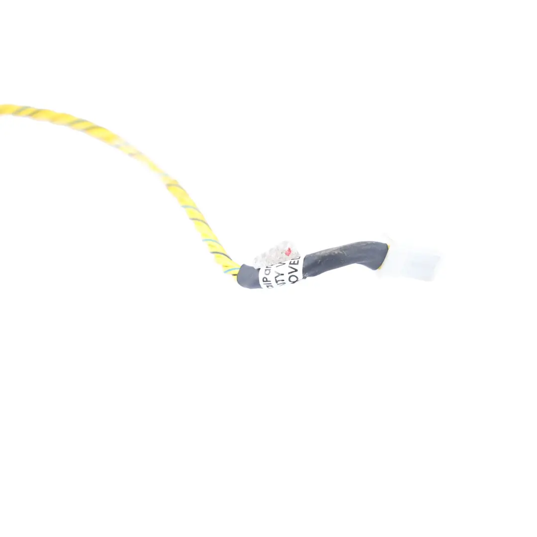 Front Door Audio System Wire Harness Left Right N/O/S to BMW X5 E70 LCI with Part number 7842202 BMW X5 E70 LCI Front Door Audio System Wire Harness Left Right N/O/S - SKU 7842202 - Part number 7842202
