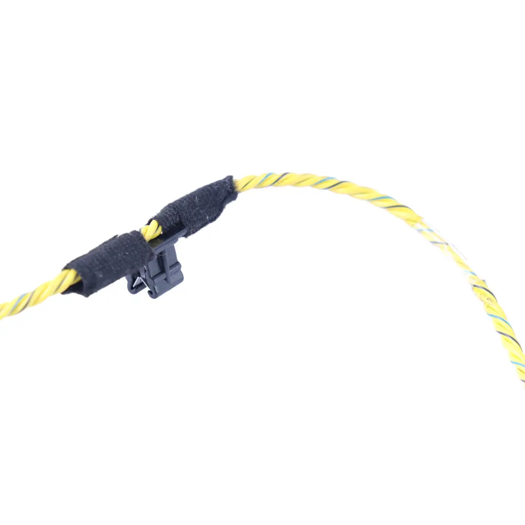BMW X5 E70 LCI Front Door Audio System Wire Harness Left Right N/O/S - SKU 7842202 - Part number 7842202