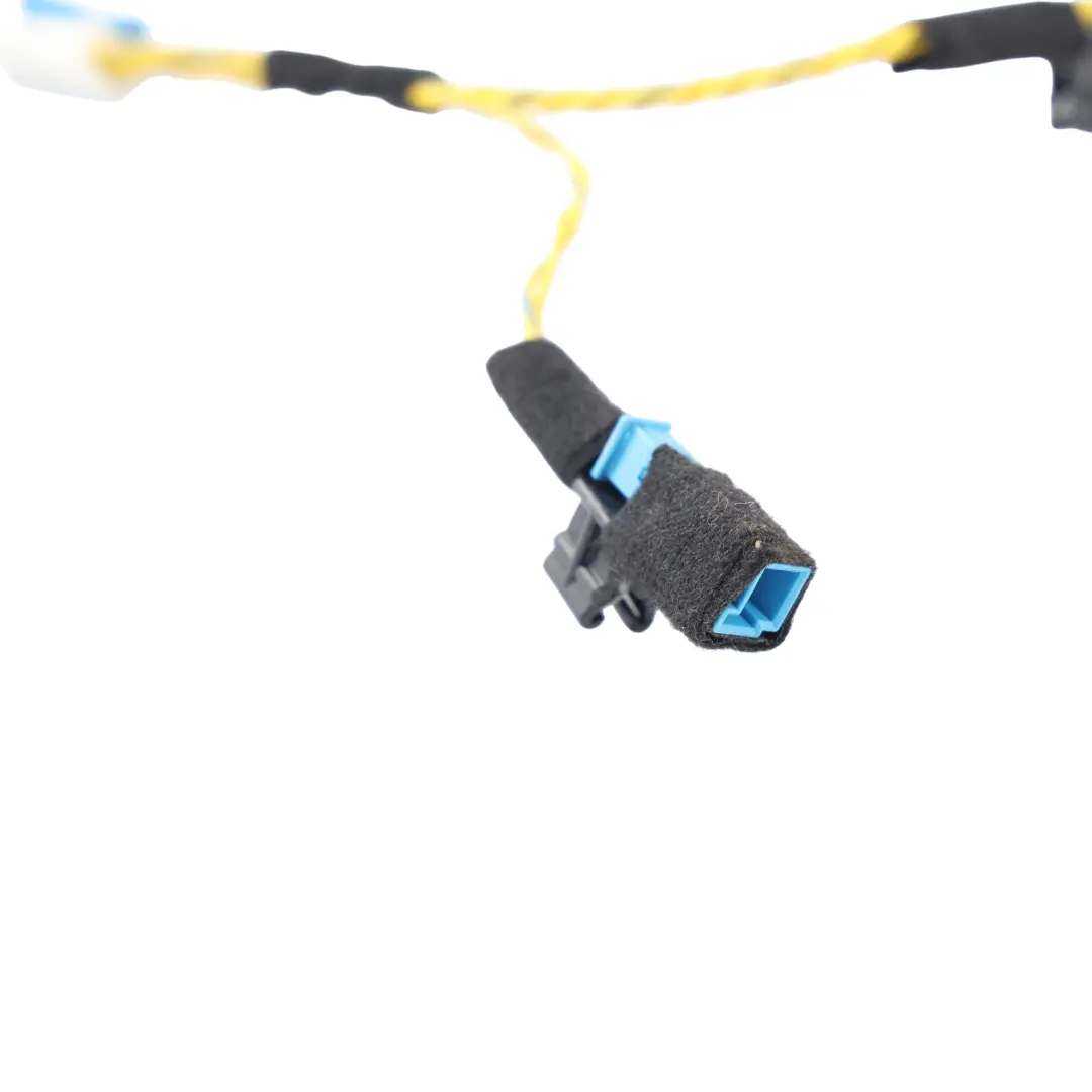 Front Door Audio System Wire Harness Left Right N/O/S to BMW X5 E70 LCI with Part number 7842202 BMW X5 E70 LCI Front Door Audio System Wire Harness Left Right N/O/S - SKU 7842202 - Part number 7842202