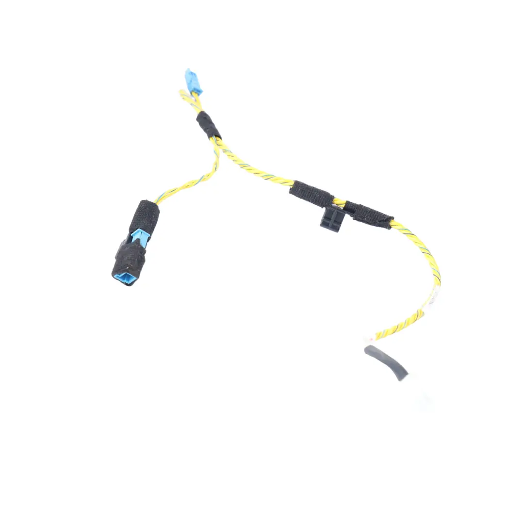 BMW X5 E70 LCI Front Door Audio System Wire Harness Left Right N/O/S - SKU 7842202 - Part number 7842202