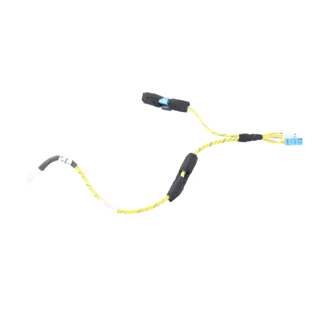 BMW X5 E70 LCI Front Door Audio System Wire Harness Left Right N/O/S - SKU 7842202 - Part number 7842202