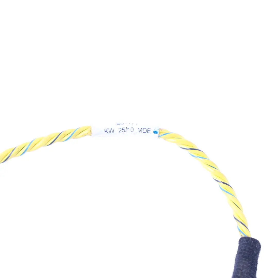 Front Door Audio System Wire Harness Left Right N/O/S to BMW X5 E70 LCI with Part number 7842202 BMW X5 E70 LCI Front Door Audio System Wire Harness Left Right N/O/S - SKU 7842202 - Part number 7842202