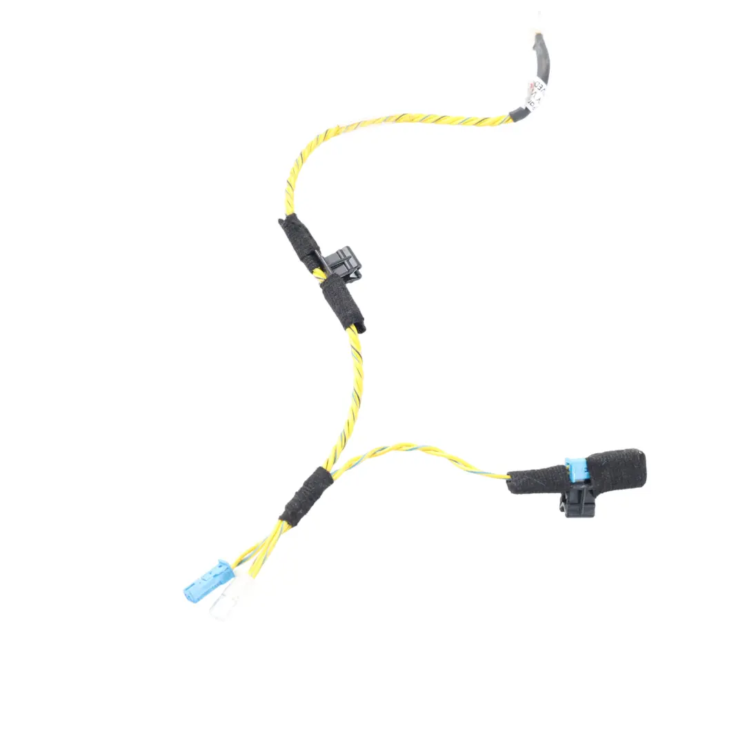 BMW X5 E70 LCI Front Door Audio System Wire Harness Left Right N/O/S - SKU 7842202 - Part number 7842202