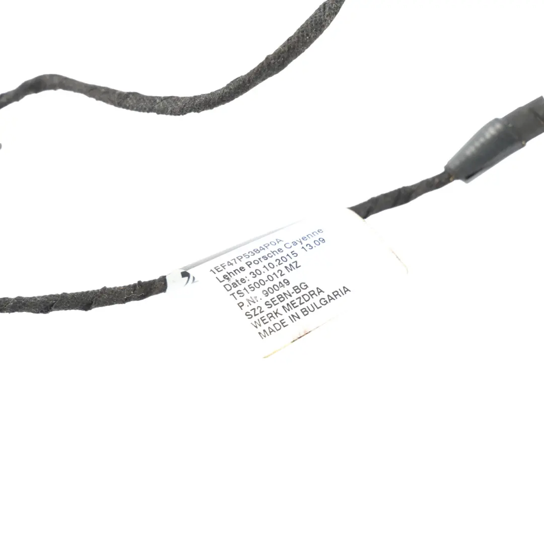 Front Seat Adjustment Harness Left Right N/O/S to Porsche Cayenne S 92a with Part number 7P5971384P Porsche Cayenne S 92a Front Seat Adjustment Harness Left Right N/O/S - SKU 7P5971384P - Part number 7P5971384P