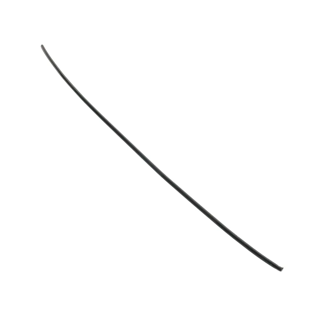 Audi A4 B7 Sedan Roof Moulding Rail Trim Strip Left N/S Phantom Black - Z9Y - SKU 8E5853701-PHB - Part number 8E5853701