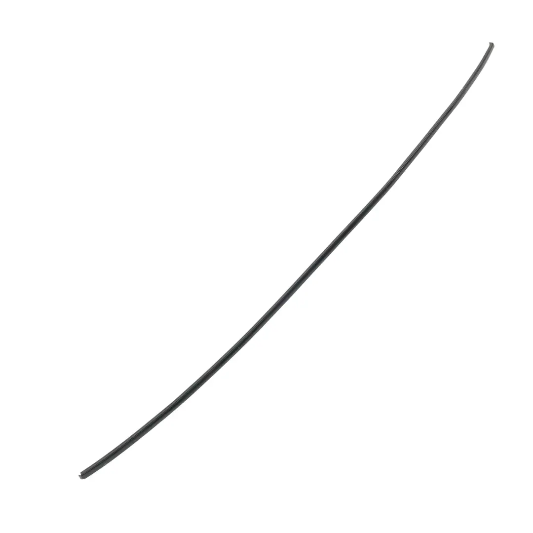 Audi A4 B7 Sedan Roof Moulding Rail Trim Strip Left N/S Phantom Black - Z9Y - SKU 8E5853701-PHB - Part number 8E5853701