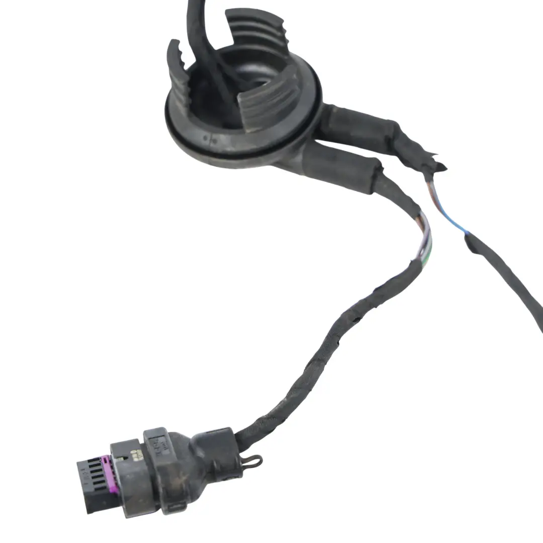 Audi A5 8F Cabriolet Front Door Wiring Loom Harness Passenger Side - SKU 8F0971030BF - Part number 8F0971030BF