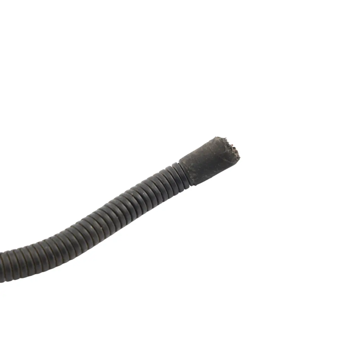 Scheinwerfer Stecker Fassung Vorne Links für Audi A3 8P mit Teilenummer 8P0941003L Audi A3 8P Scheinwerfer Stecker Fassung Vorne Links - SKU 8P0941003L-2 - Teilenummer 8P0941003L