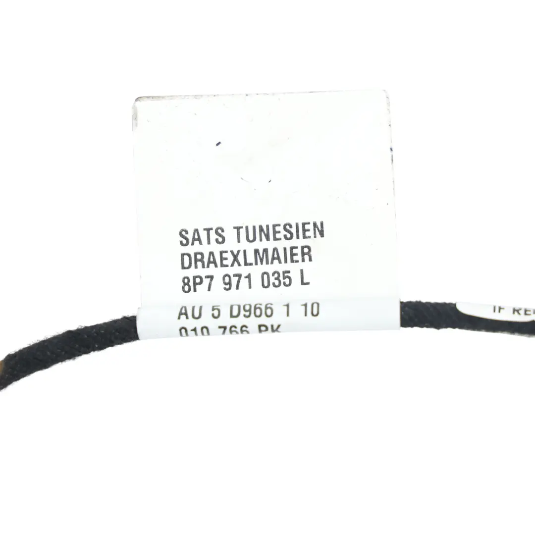 Audi A3 8P Door Wiring Loom Cable Harness Passenger Side N/S - SKU RHD-8P7971035L - Part number 8P7971035L