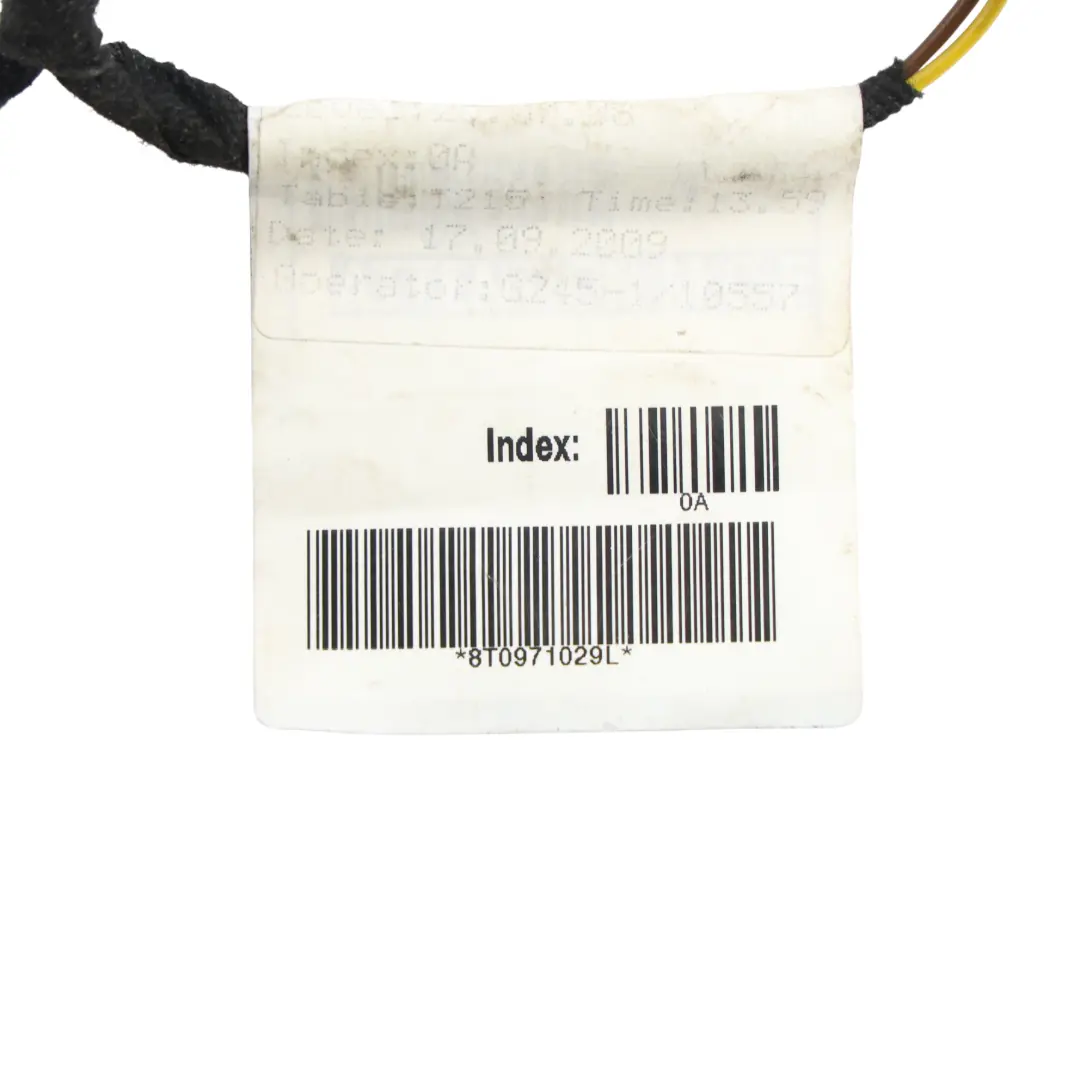 Front Door Wiring Harness Loom Wire Driver's Side to Audi A5 8T with Part number 8T0971029L Audi A5 8T Front Door Wiring Harness Loom Wire Driver's Side - SKU 8T0971029L - Part number 8T0971029L