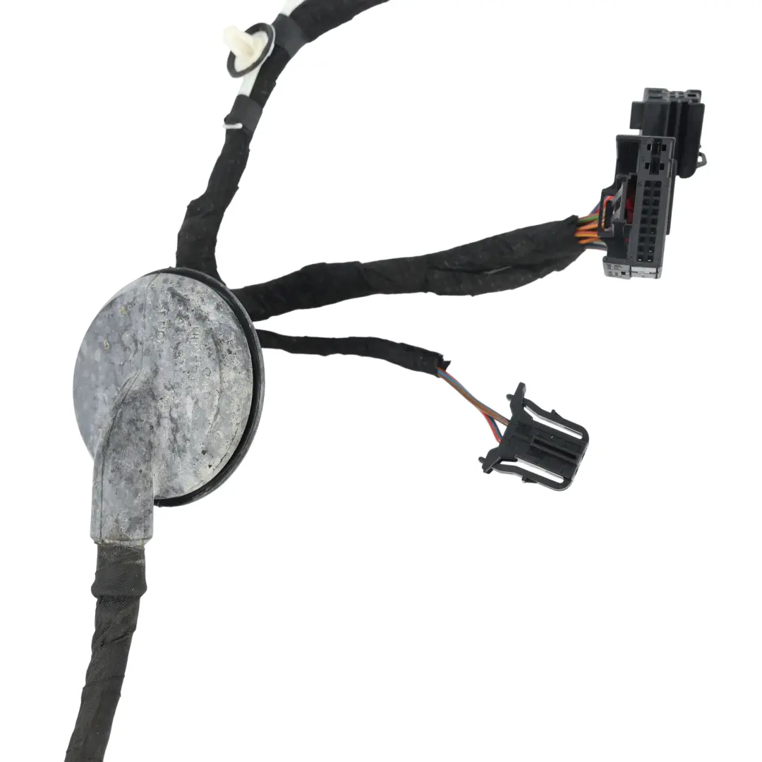 Door Wire Harness Loow Wiring Passenger Side to Audi A5 8T with Part number 8T0971030L Audi A5 8T Door Wire Harness Loow Wiring Passenger Side - SKU 8T0971030L - Part number 8T0971030L