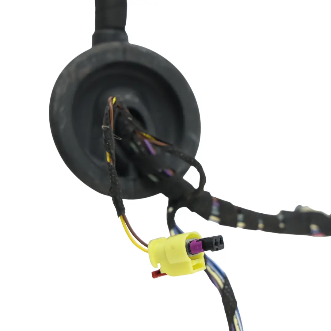 Audi S3 8V Front Door Wiring Loom Harness Electric Wire Driver's Side - SKU 8V4971029 - Part number 8V4971029