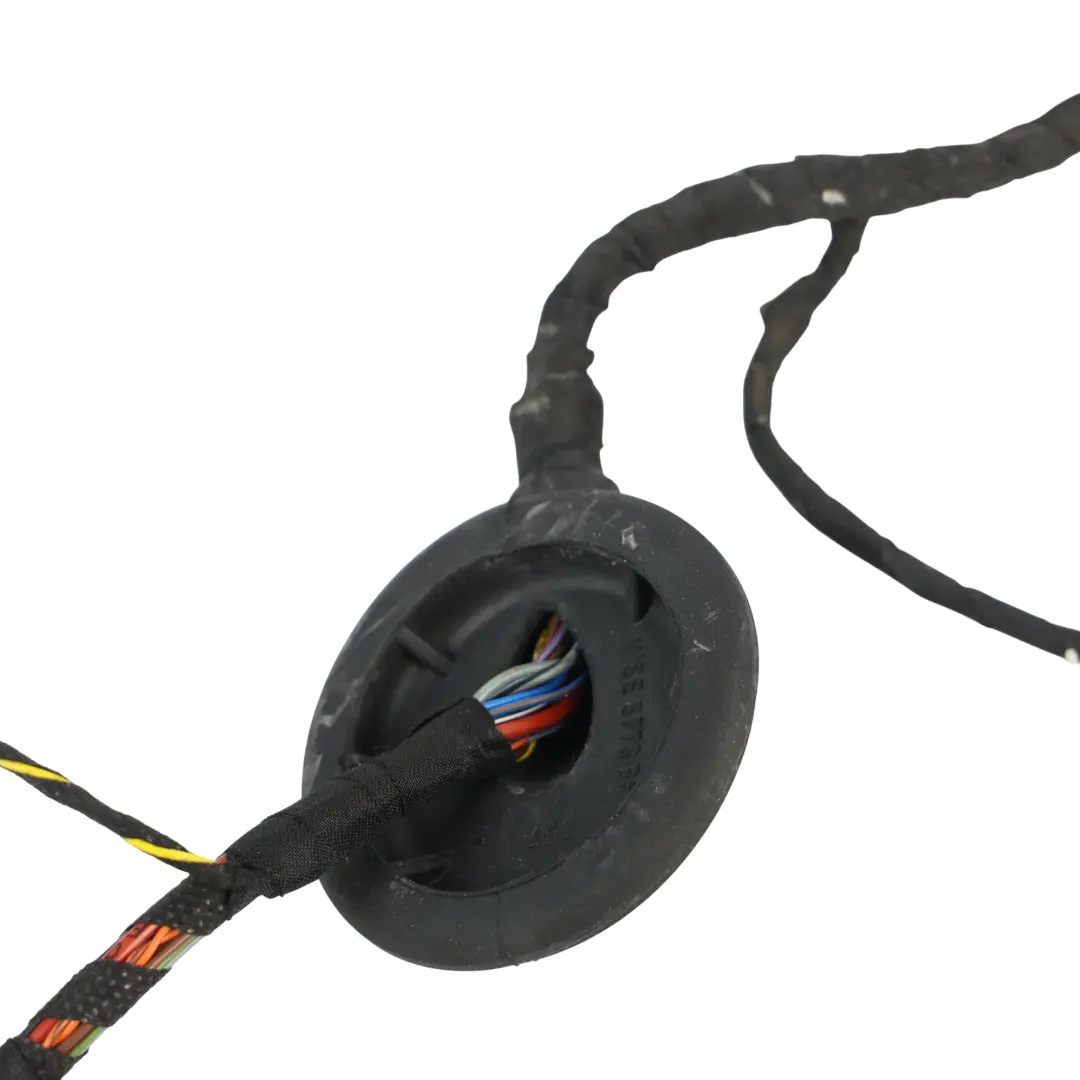 Audi A4 B9 Cablaggio Elettrico Porta Anteriore Lato Guida - SKU 8W0971029CF - Numero di parte 8W0971029CF