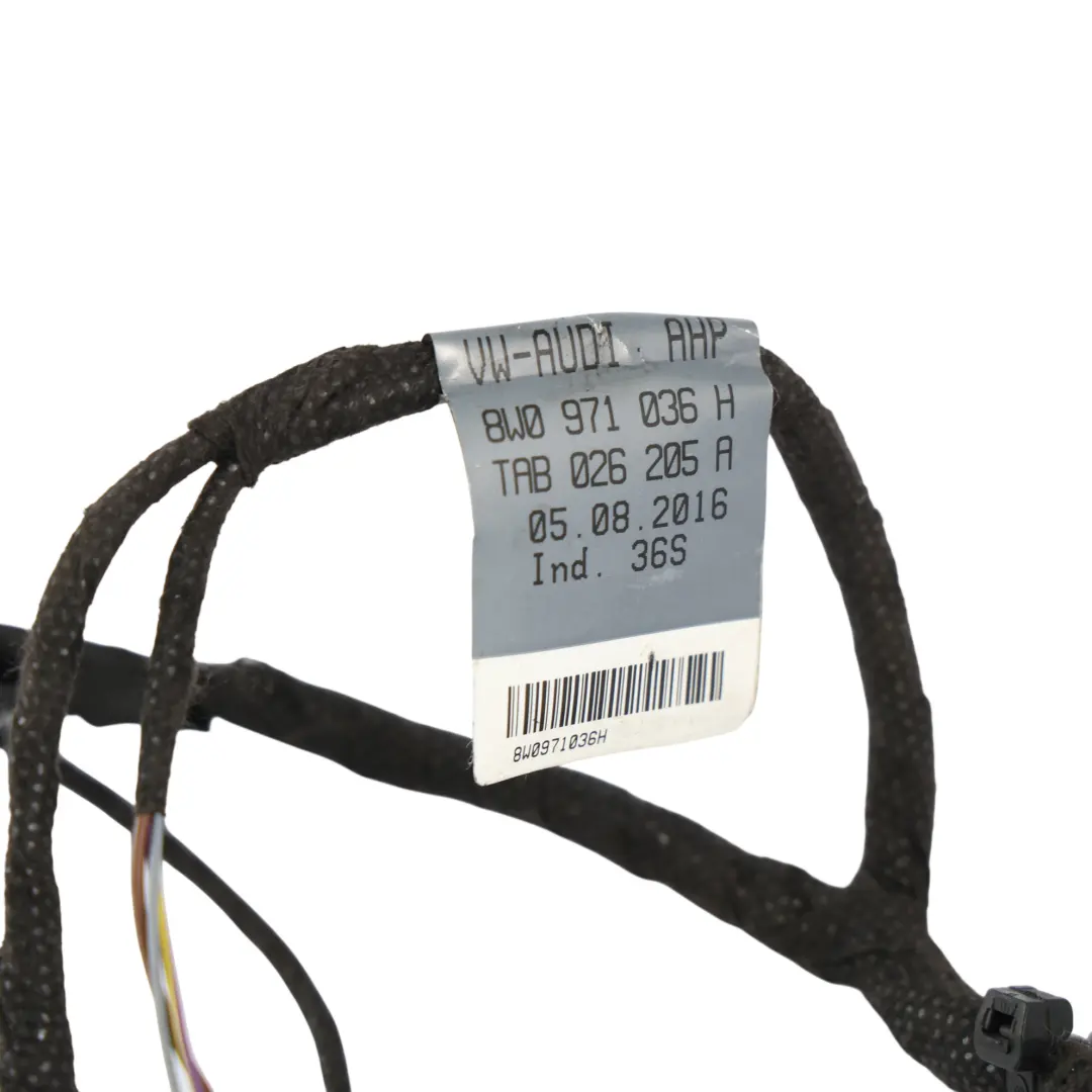 Audi A4 B9 Kabelbaum Vordertür Fahrgastseite - SKU 8W0971036H - Teilenummer 8W0971036H