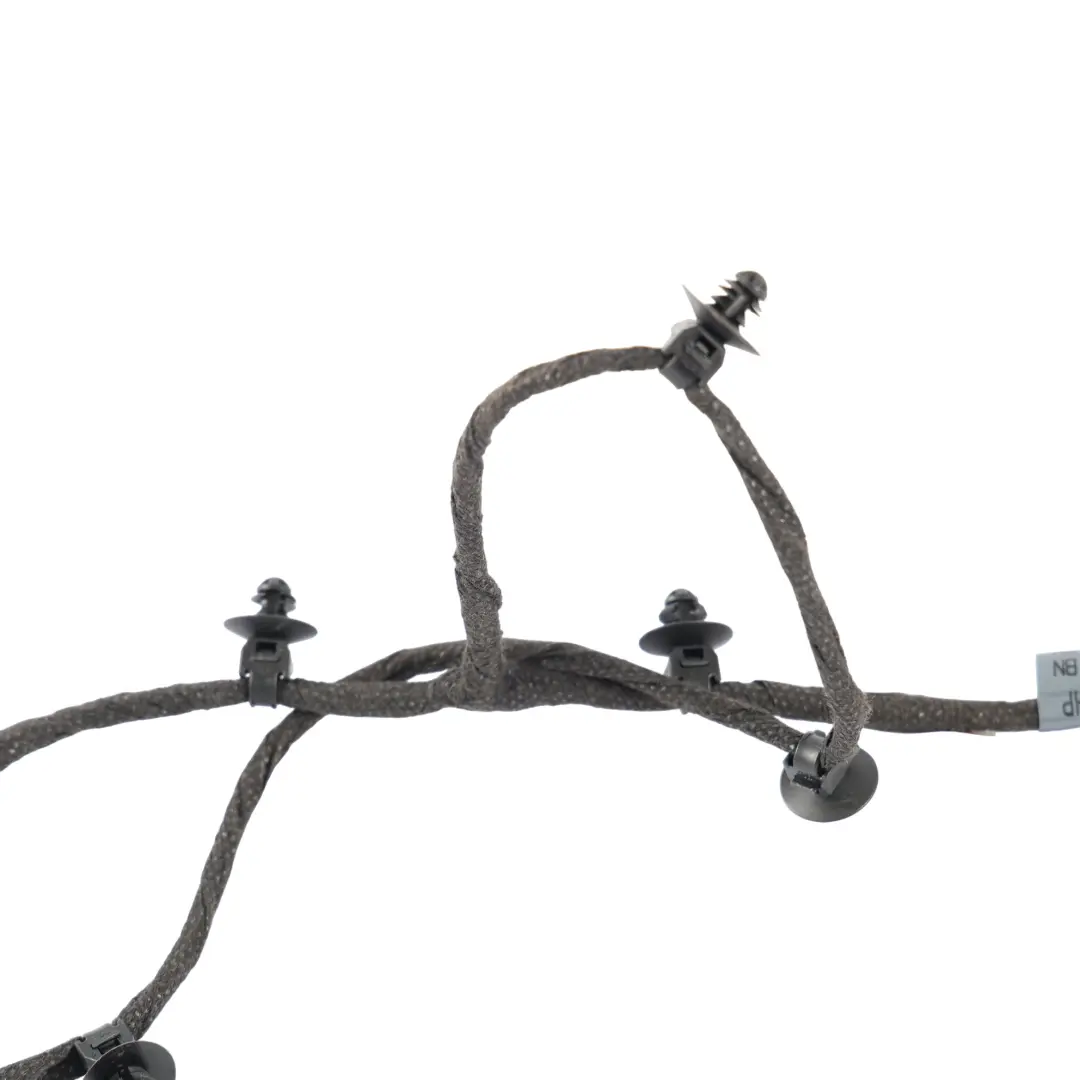 Audi S5 F5 Front Door Wiring Harness Cable Passenger Side - SKU 8W6971036BN - Part number 8W6971036BN