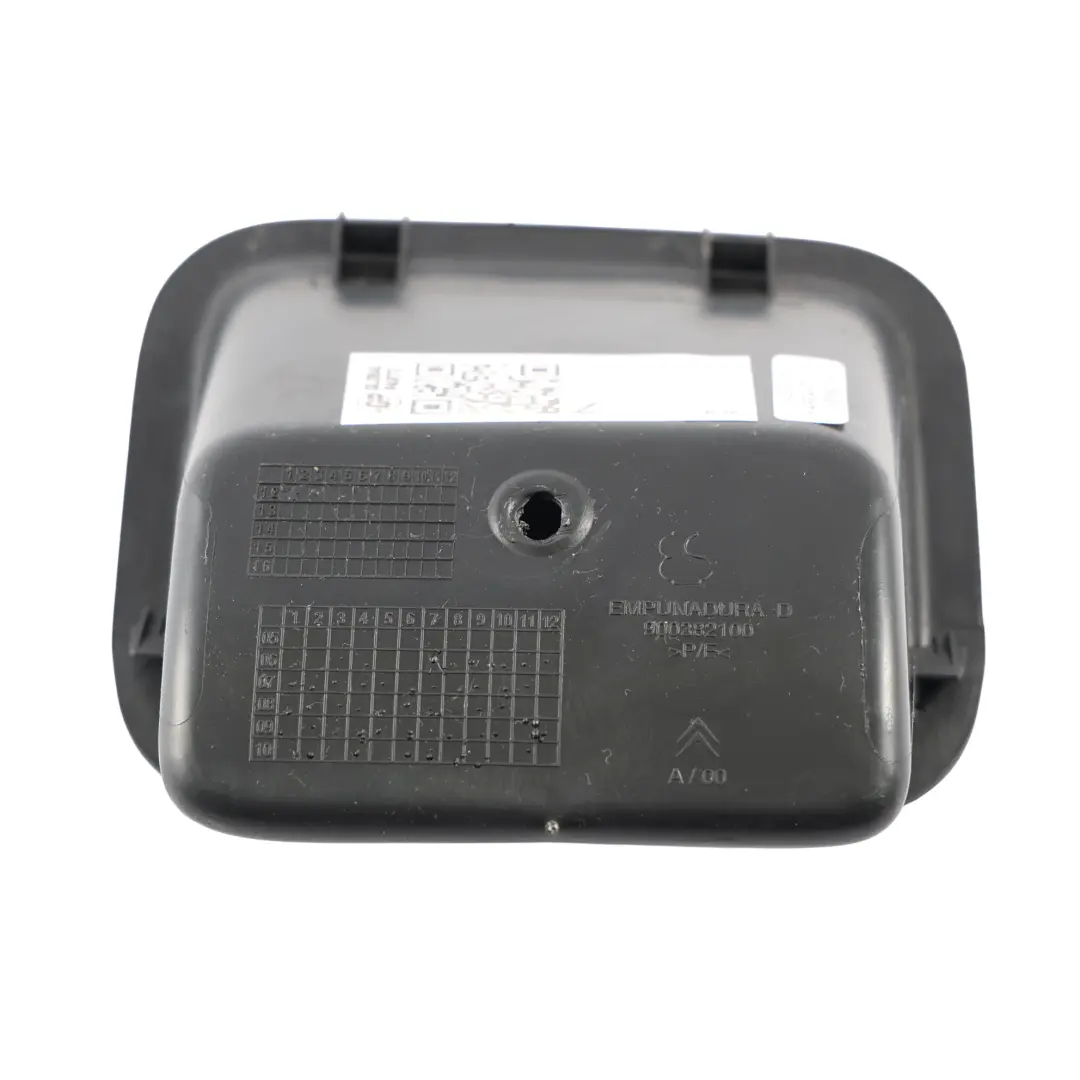 Citroën C4 Grand Picasso Tailgate Handle Trim Panel - SKU 900382100 - Part number 900382100