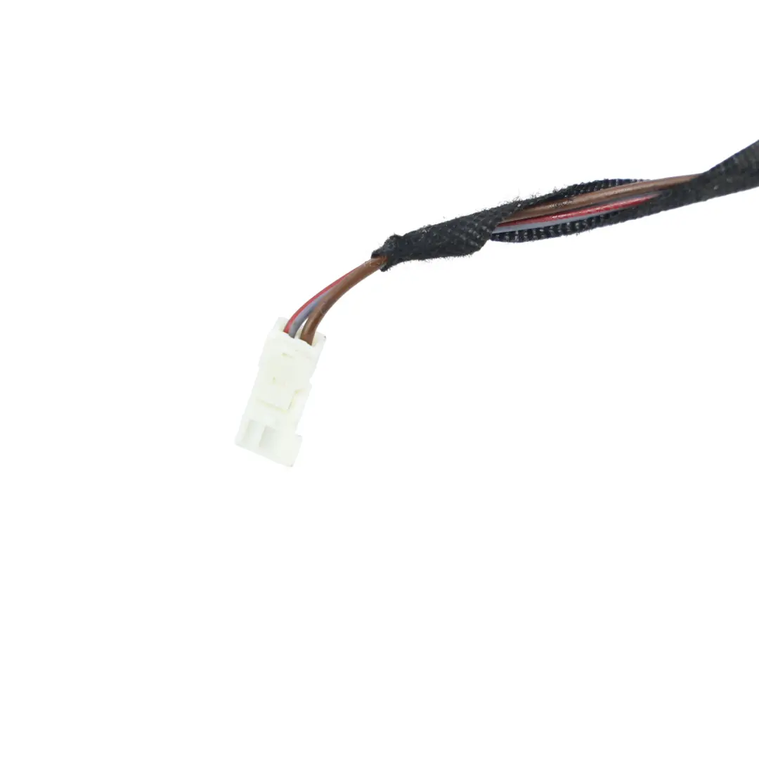 BMW E92 Kabelbaum Vordertür Beifahrerseite - SKU 9259823 - Teilenummer 9259823