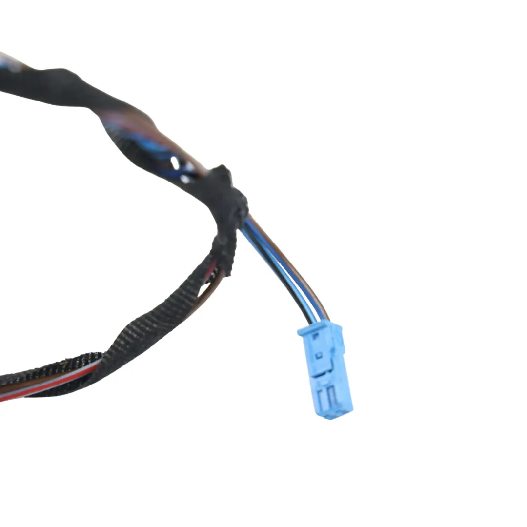 BMW E92 Kabelbaum Vordertür Beifahrerseite - SKU 9259823 - Teilenummer 9259823