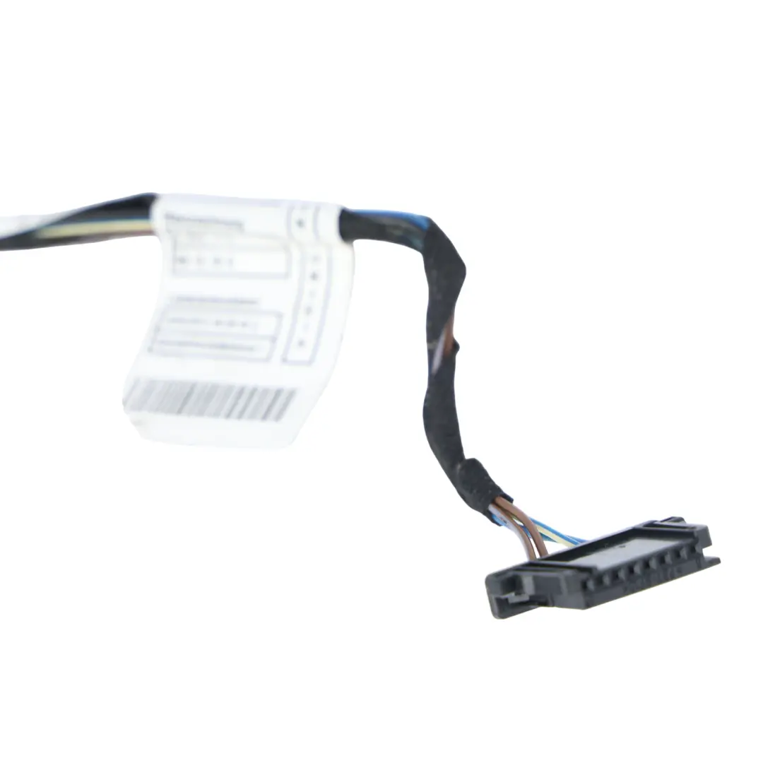 Cableado Puerta Delantera Lado Pasajero para BMW E92 con número de pieza 9259823 BMW E92 Cableado Puerta Delantera Lado Pasajero - SKU 9259823 - Número de pieza 9259823