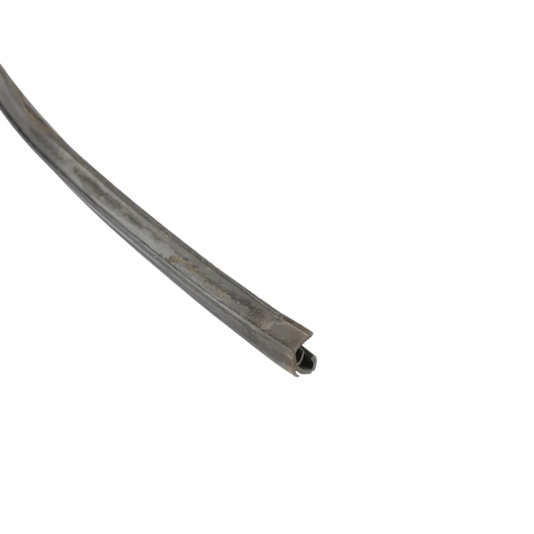 Porsche Cayenne 9PA Front Window Guide Channel Gasket Left N/S - SKU 95553143102 - Part number 95553143102