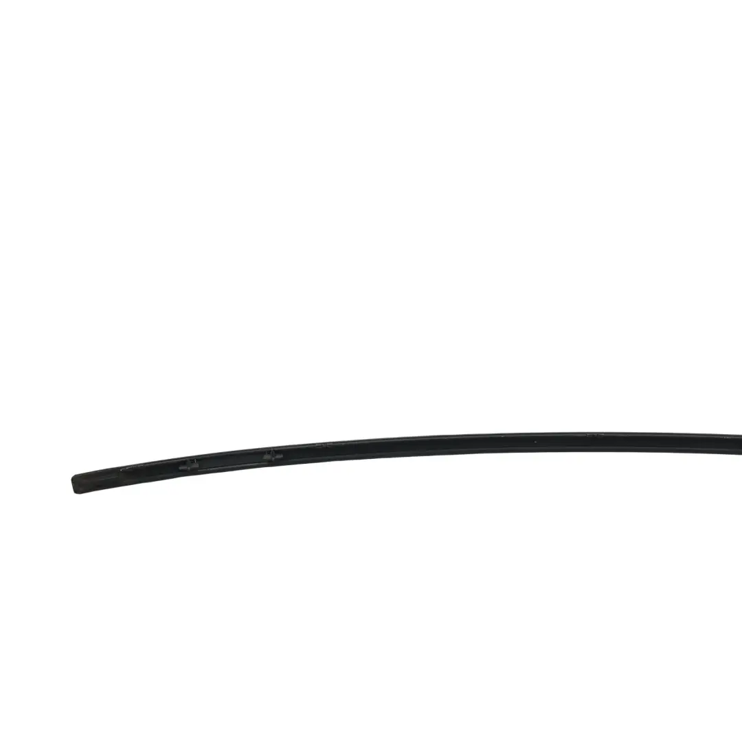 Mercedes Benz CLK Class C209 Left N/S Roof Side Moulding Trim Strip - SKU A2096900580-1 - Part number A2096900580