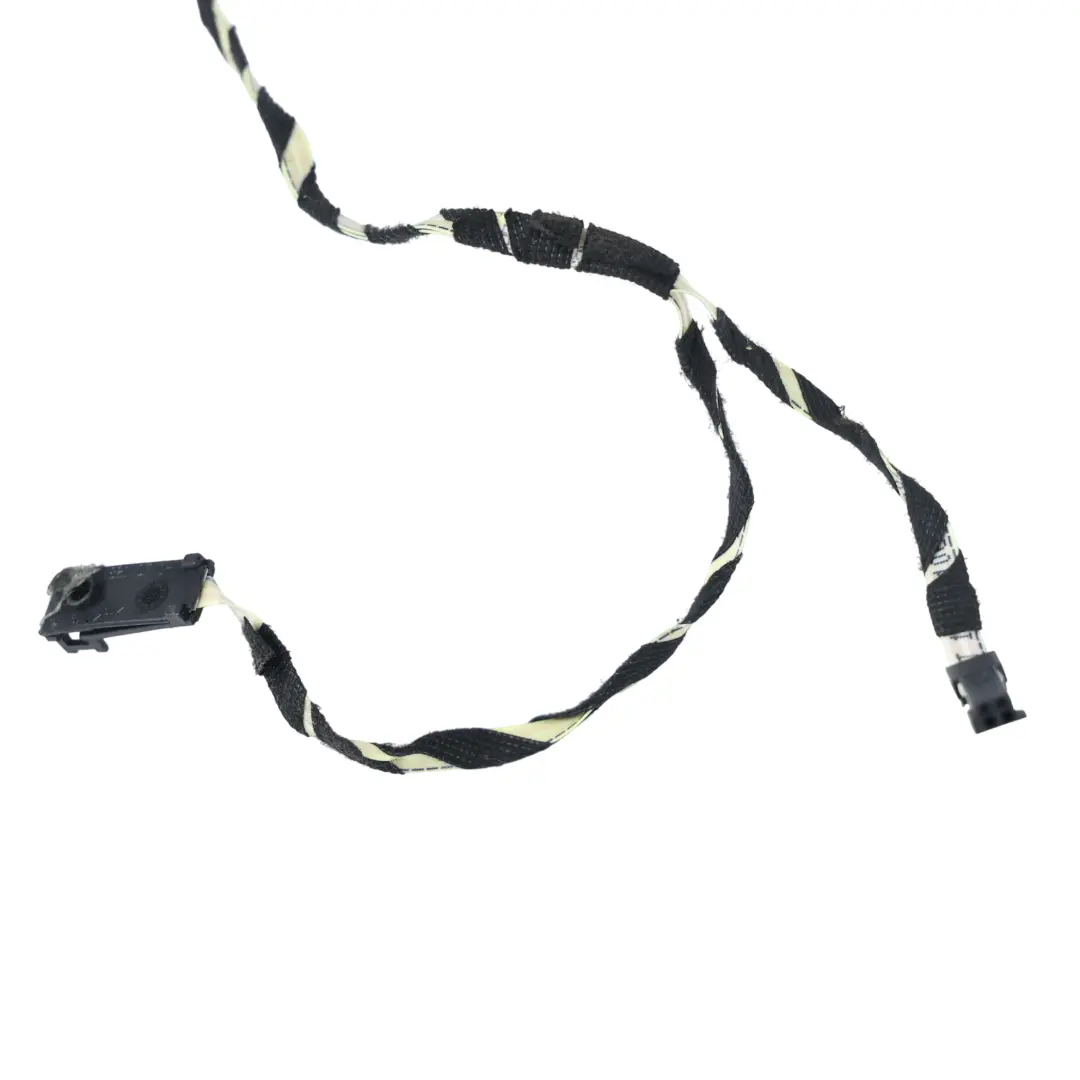 Mercedes W221 Cableado Arnés Puerta Trasera Izquierda - SKU A2215408707 - Número de pieza A2215408707