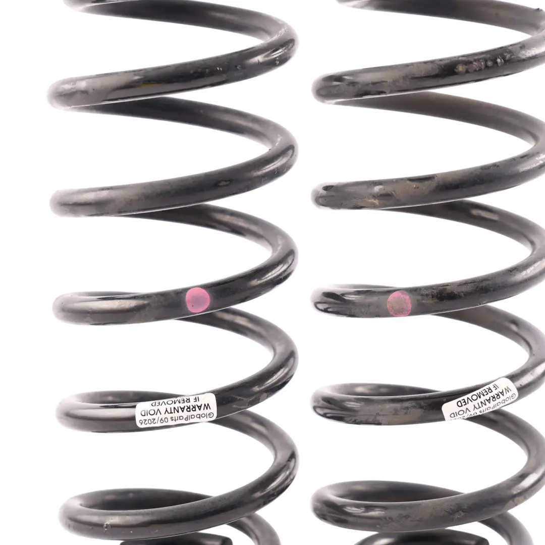 Smart Fortwo C451 Rear Suspension Coil Spring Set Left Right N/O/S - SKU A4513240304 - Part number A4513240304