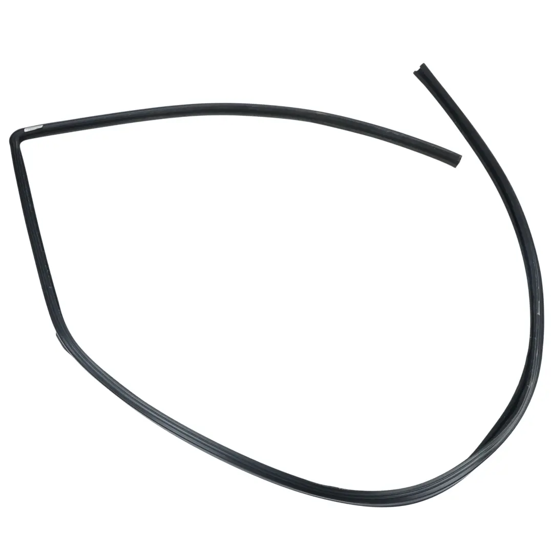 Land Rover Range Rover Sport L320 Guarnizione Vetro Finestrino Destro - SKU CFE500880 - Numero di parte CFE500880