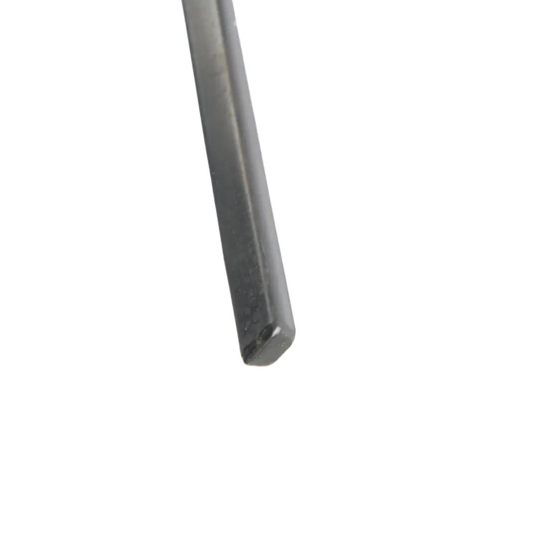 Range Rover Sport L320 Door Window Belt Moulding Rear Left N/S - SKU CGE000860 - Part number CGE000860