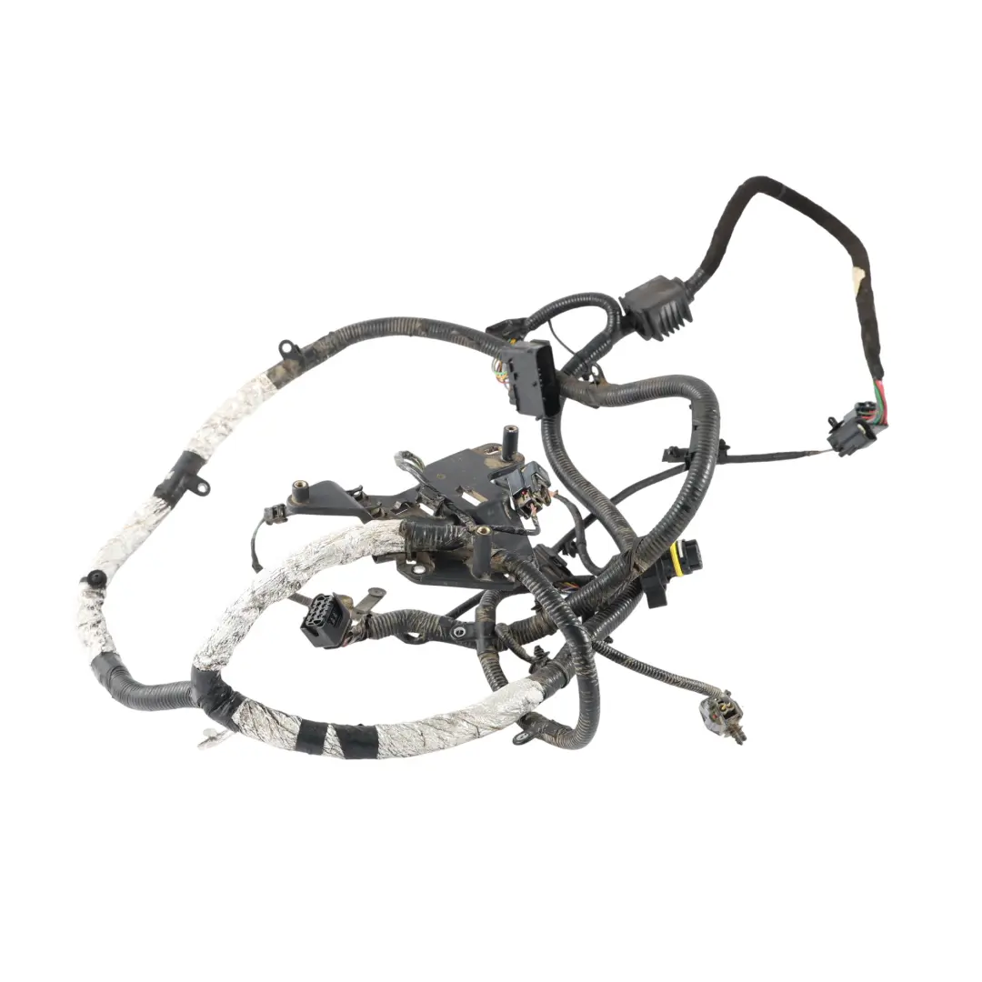 Gearbox Wiring Loom 4.4 TDV8 to Range Rover L322 8 Speed Automatic with Part number BH42-7C078-DC Range Rover L322 8 Speed Automatic Gearbox Wiring Loom 4.4 TDV8 - SKU RHD-LR032021 - Part number BH42-7C078-DC