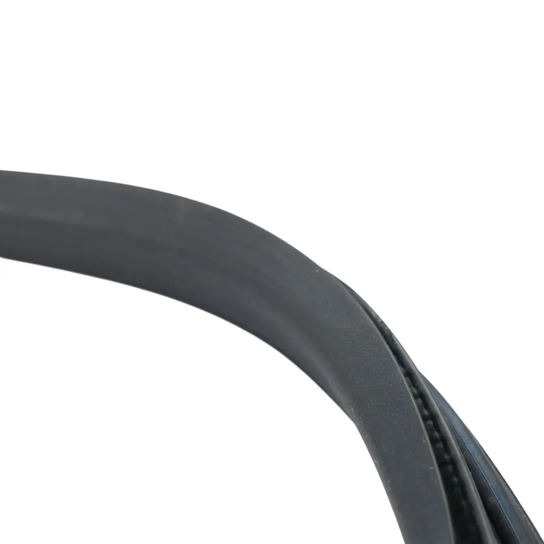 Land Rover Discovery Sport L550 Door Seal Gasket Rear Left N/S FK72-253A10-A - SKU LR058561 - Part number LR058561