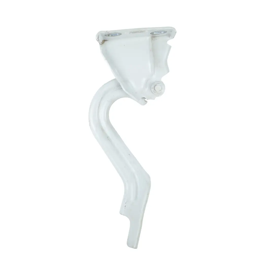 Fiat Ducato Mk3 Zawias Maski Przedni Lewy Bianco White - 549 - SKU 1382137080-BWH - Numer Części 1382137080