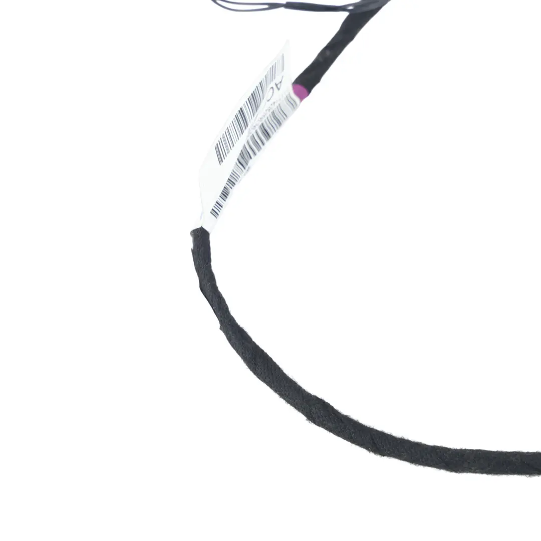 Cablaggio Porta Posteriore Destra C1BT-14240-ADD per Ford Fiesta Mk7 con numero di parte 2008900 Ford Fiesta Mk7 Cablaggio Porta Posteriore Destra C1BT-14240-ADD - SKU 2008900 - Numero di parte 2008900