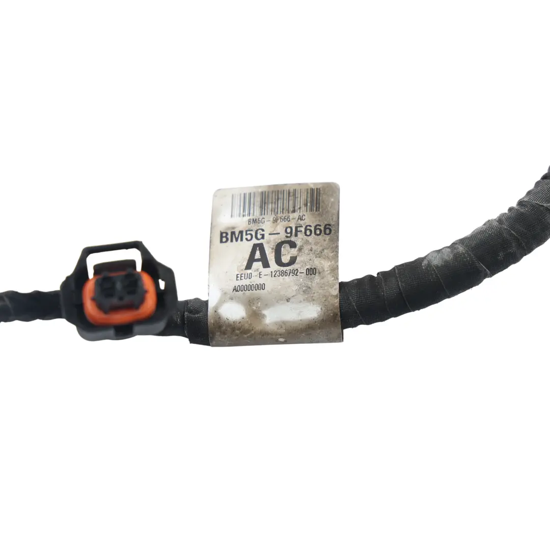 Mk3 Fuel Injector Wiring Loom Zetec S ST BM5G-9F666-AC to Ford Fiesta Mk7 Focus with Part number 2016513 Ford Fiesta Mk7 Focus Mk3 Fuel Injector Wiring Loom Zetec S ST BM5G-9F666-AC - SKU 2016513 - Part number 2016513