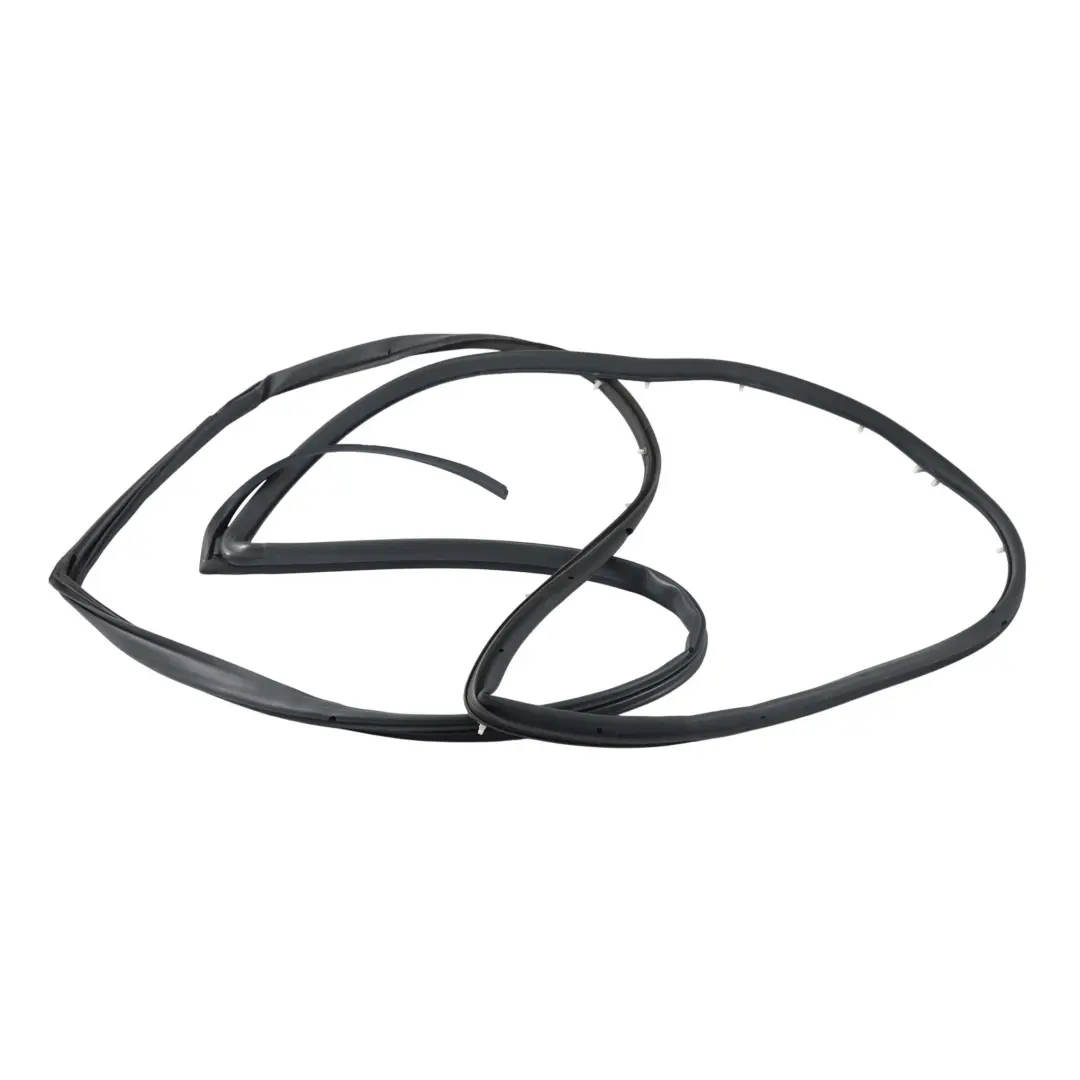 Ford Fiesta Mk7 Guarnizione Gomma Porta Anteriore Destra F1BB-B20530-AC - SKU 2054839 - Numero di parte 2054839