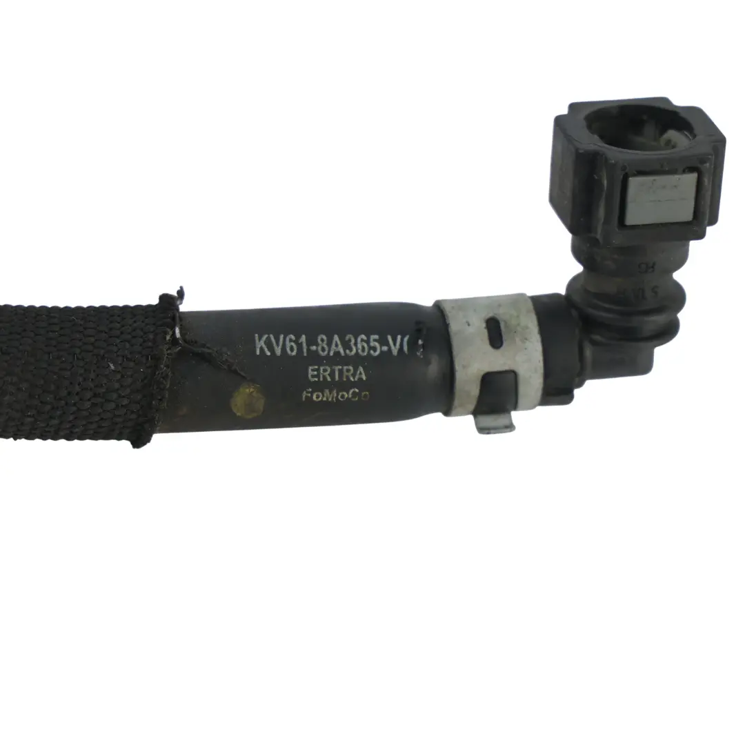 Mk2 Manguera Rebosadero Sistema Refrigeración KV61-8A365-VC para Ford Transit Connect con número de pieza 2278434 Ford Transit Connect Mk2 Manguera Rebosadero Sistema Refrigeración KV61-8A365-VC - SKU 2278434 - Número de pieza 2278434