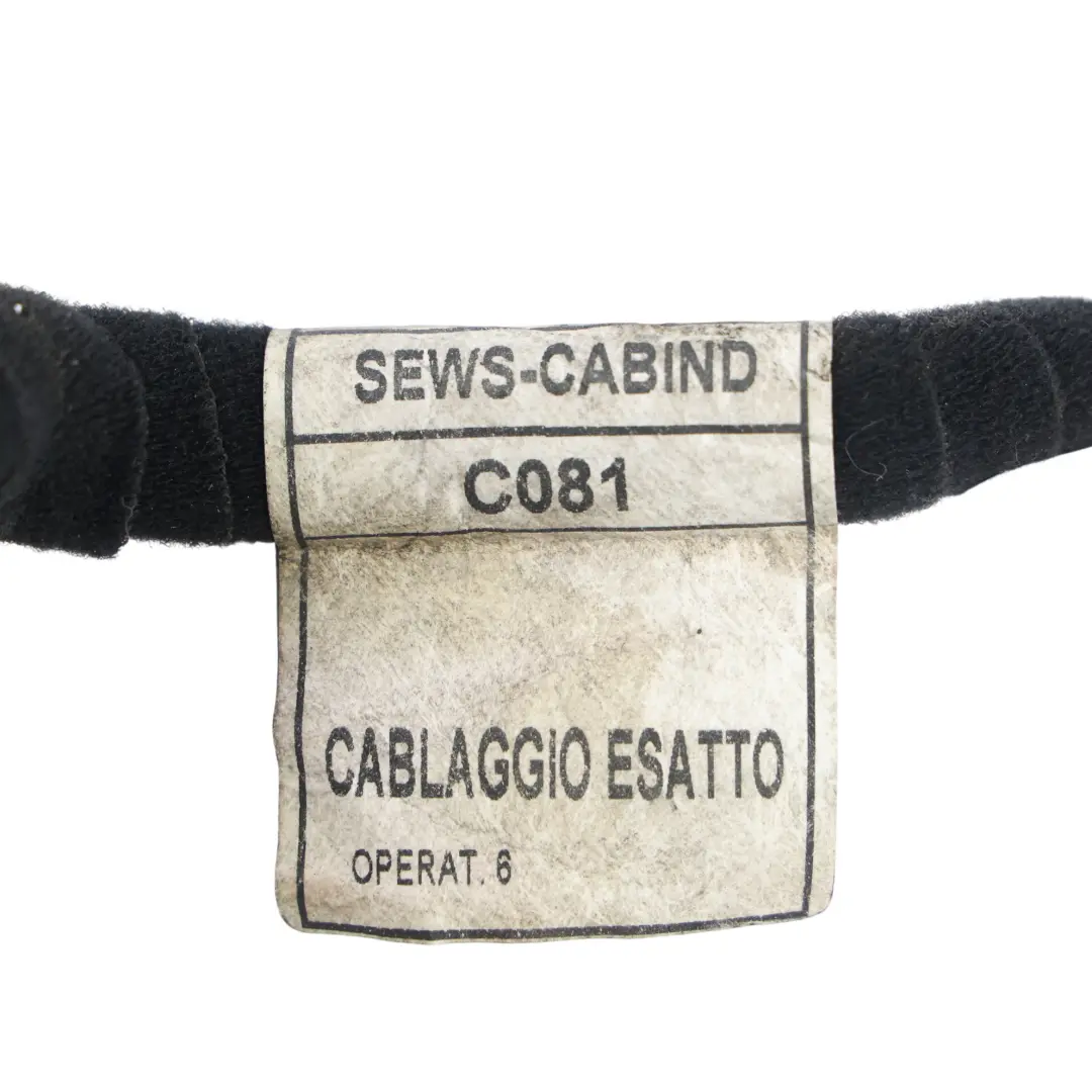 Fiat Ducato Cable Masa Cable Negativo 00 - SKU 46862033 - Número de pieza 46862033