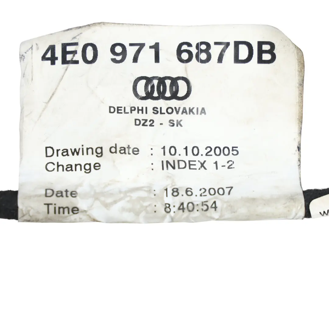 Cablaggio Porta Posteriore Sinistra Destra per Audi A6 C7 4G con numero di parte 4E0971687DB Audi A6 C7 4G Cablaggio Porta Posteriore Sinistra Destra - SKU 4E0971687DB - Numero di parte 4E0971687DB