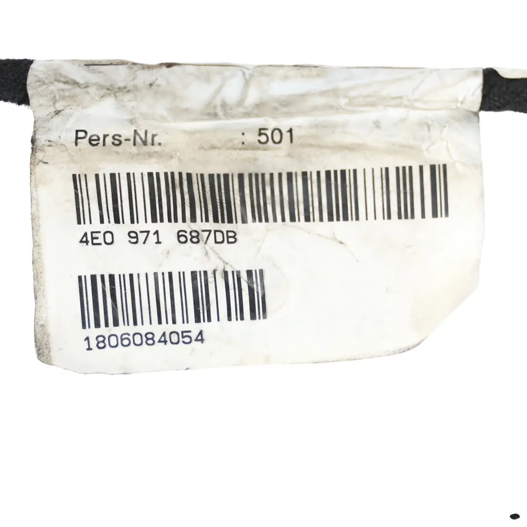 Door Harness Wiring Loom Cable Left Right N/O/S to Audi A6 C7 4G Rear with Part number 4E0971687DB Audi A6 C7 4G Rear Door Harness Wiring Loom Cable Left Right N/O/S - SKU 4E0971687DB - Part number 4E0971687DB